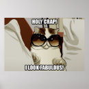 Recherche de lolcats posters Pour tous