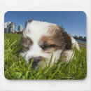 Search for vancouver mousepads Cityscape