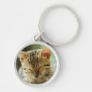 Search for bengal cat keychains Kitten