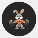 Search for hustle for that muscle stickers Body transformation