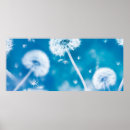 Search for dandelion blowing posters Flower