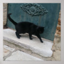 Search for french cat posters Black