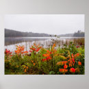 Search for hawkins posters Danita delimont