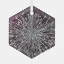 Search for weed ornaments Nature