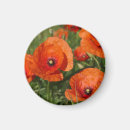 Recherche de coquelicots magnets Pavot