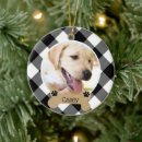 Search for brown dog ornaments Modern