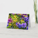 Search for viola cards Floral