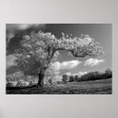 Recherche de soufflement photographie Nuages