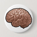Search for human brain buttons Anatomy