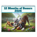 Search for boxer dog calendars Dogs