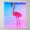 Search for pretty flamingo posters Beach