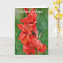 Search for gladiolus flowers cards Floral