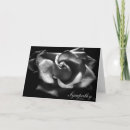 Search for white roses sympathy cards Loss