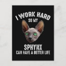 Recherche de humour de cheveux posters Mignon