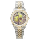 Search for lilies watches Floral