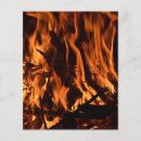 Recherche de forêt prospectus Bois