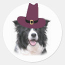 Search for thanksgiving pilgrim stickers Dog