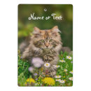 Search for cat clipboards Animal