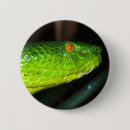 Recherche de serpent vert badges Reptile
