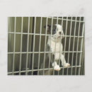 Recherche de cage cartes postales Chiens
