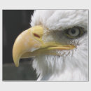 Search for raptor wrapping paper Animals