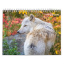 Search for wolf calendars Landscape