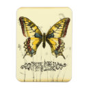 Search for decorative magnets Butterfly