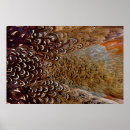 Search for teal and brown posters Pattern