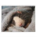 Search for rat calendars Animals