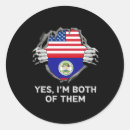 Search for belizean stickers Belize flag