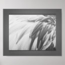 Recherche de rose gris posters Peinture murale