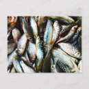 Recherche de petits poissons cartes postales Drôle