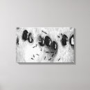 Search for ant canvas prints Insect