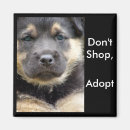 Recherche de faites la vous même magnets Chiens