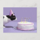 Search for veterinarian birthday cards Nature