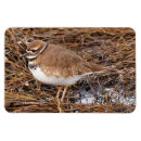 Recherche de boue magnets Nature