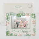Search for evergreens christmas cards Berries