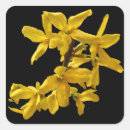 Search for shrubs stickers Bush