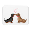 Recherche de poils magnets Mignon