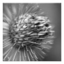 Recherche de remorque photographie En acier