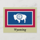 Search for equality state Bison