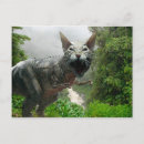 Search for horror postcards Terror