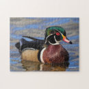 Recherche de canard puzzles Pour eux