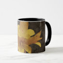 Search for asiatic mugs Beautiful