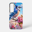 Search for blue jay cases Nature