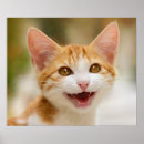 Recherche de minous posters Pour elle