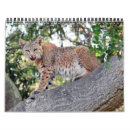 Recherche de sauvage chat calendriers Faune
