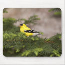 Search for breasted mousepads Animal