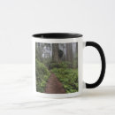 Search for old growth forest mugs Trail