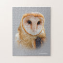 Search for barn owl puzzles Owls